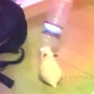 in vietnam dont call me