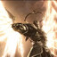 Imperius