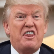 特朗普直肠倒模