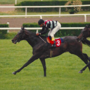 𝘽𝙊𝙇𝘿 - steam id 76561198320289055