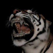 ℳ.𝓕𝓸𝓽𝓮𝔀𝔀