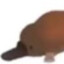 platypus