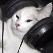 太菜了被开除人籍转生