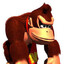 DonkeyKong_gamer