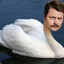 Swan Ronson