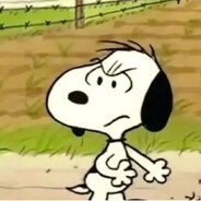 何事落到这收场