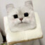 咸小五
