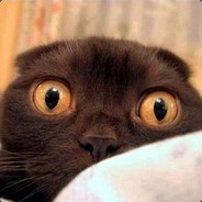 抱紧我的小鲤鱼