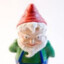 Little Gnome Boy