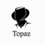 ToPaZ