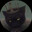 GPYR141