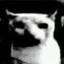 cattata20909