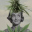 Dona Juanita
