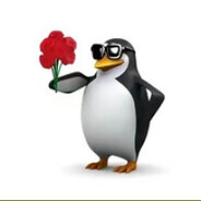 暴打打打你个大鲜橙