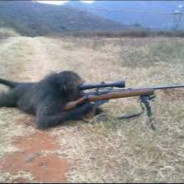 Sniper Monkey™