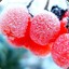 Berry Frozen