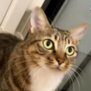 人类都该睡大觉