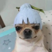 但丁真去过地狱吗