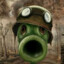 szxrs.zic