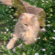 ikah - steam id 76561198361555409