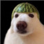Maaks