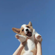 我坦白了我是老婆奴