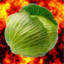 Devils Cabbage
