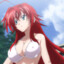 ♥Rias Gremory♥