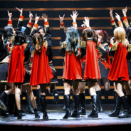 一只礼貌的水豚