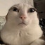 GeORGe--