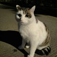 丰树门业运输大队长