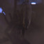 Xeno482