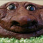 5 бомжей в овраге's avatar