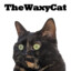 TheWaxyCat