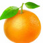 橙子