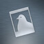 missingpigeon