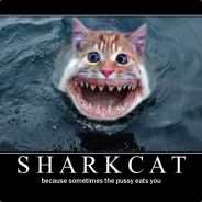 SharkCat