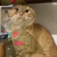 哈基米啊蜥嘎哈鸭库南北绿豆啊西嘎阿西