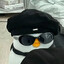 Ron1n