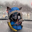 Winter farmila