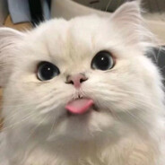 今天你开心了么？