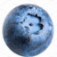 Blueberry