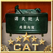 CAT_惊雷dark