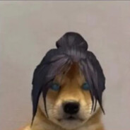 她说我的技校上不了她的大学