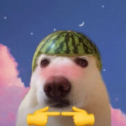 ПАРЛАМЕНТ2011