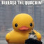 BioDuck Infinite