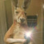 Fredrick
