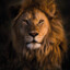 MUFASA