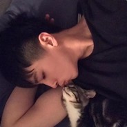 假如你看到了我