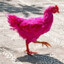 Manok Na Pink